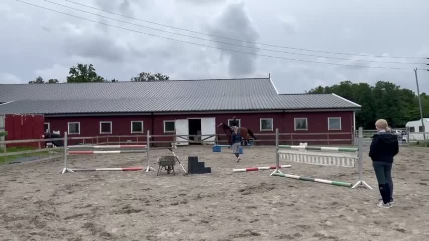 Hoppning hästar till salu: Superfin spranghest vurderes solgt - Video 1