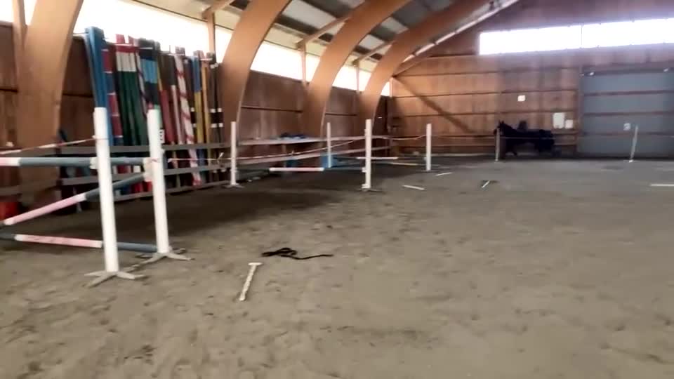 Allround hästar till salu: Trevligt sto med power  i Älvängen - Video 5