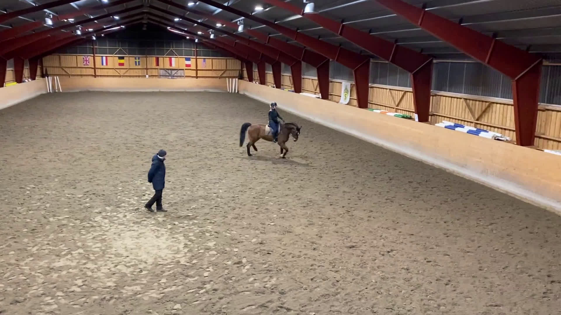 Allround hästar till salu: Snäll, välskolad läromästare  i Märsta - Video 3