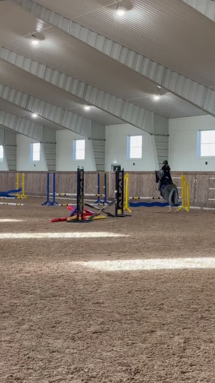 Allround hästar till salu: Läromästare och trygg förstaponny söker rätt hem - Video 1