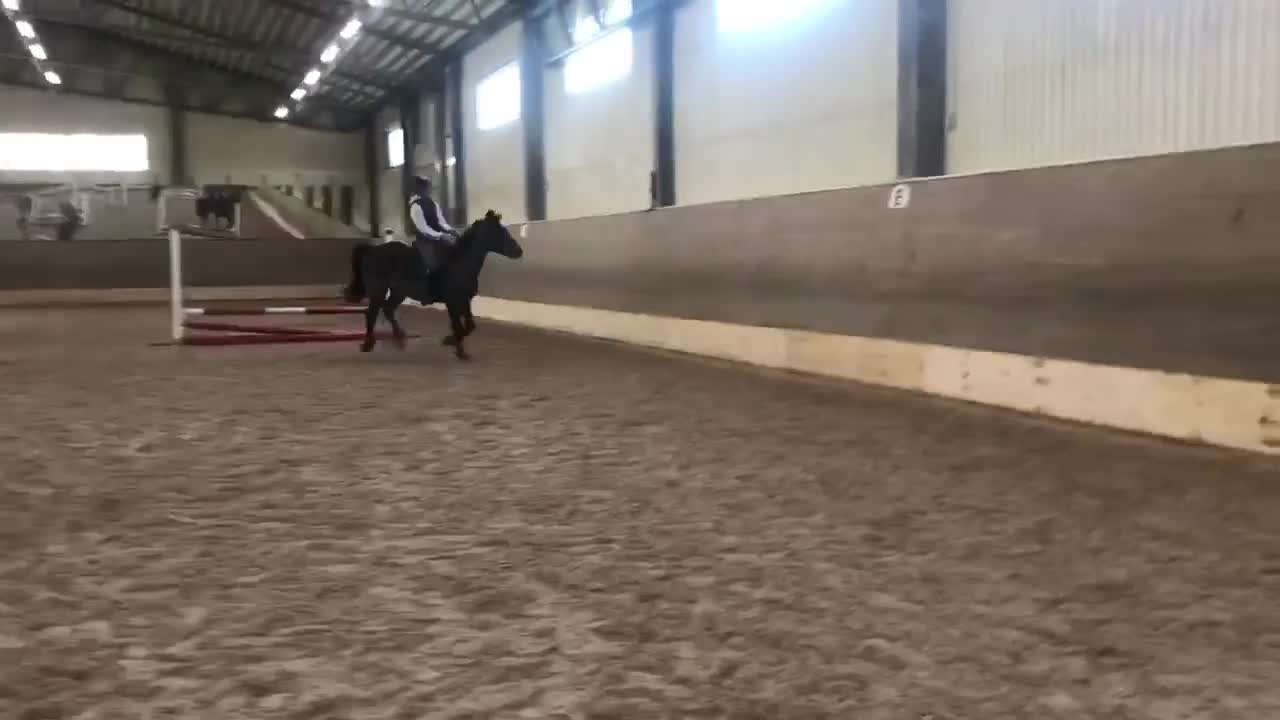 Allround hästar till salu: Mor/dotter häst i Nässjö - Video 1