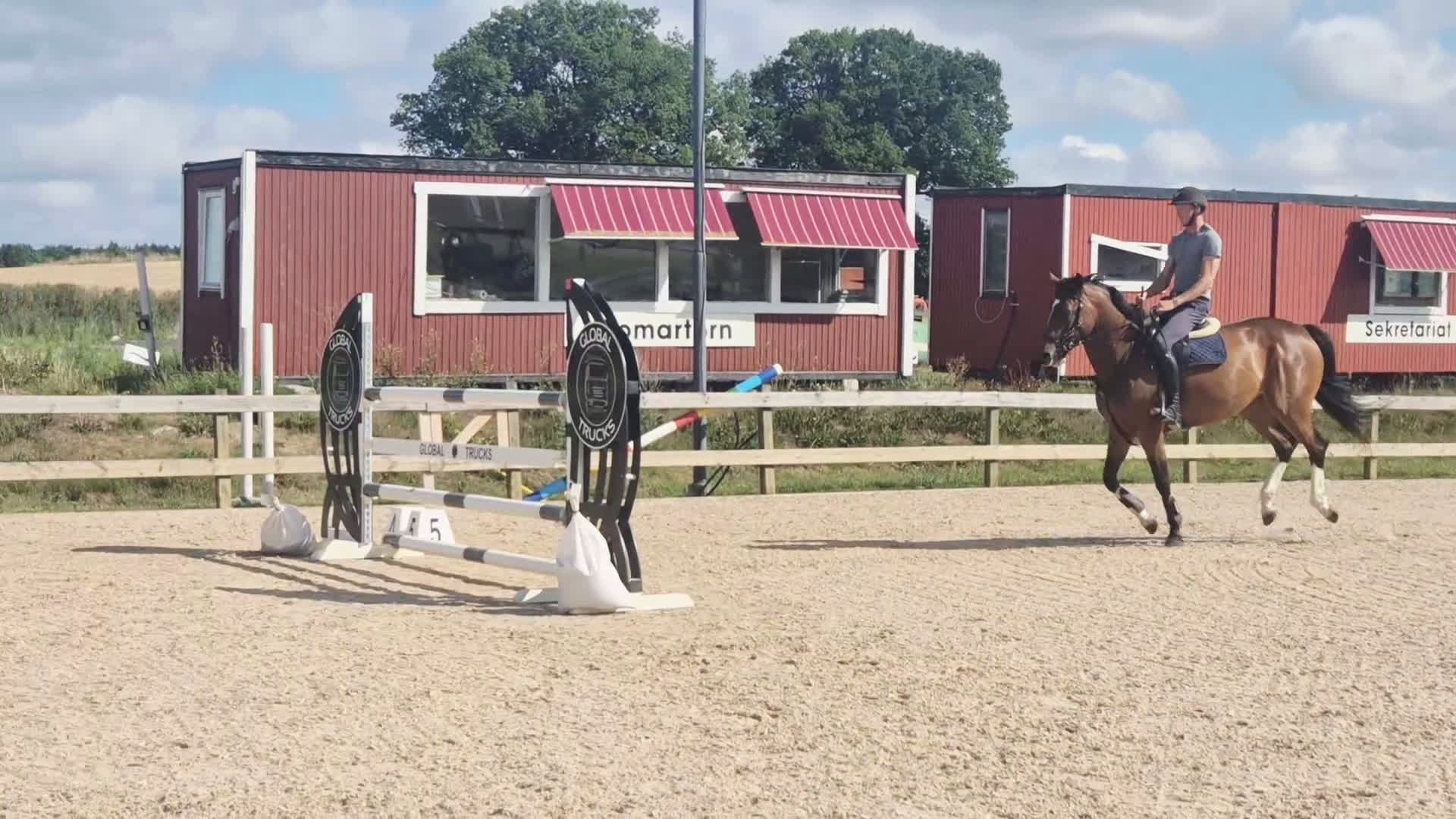 Hoppning hästar till salu: Kvalitativ 5-åring till salu  i Norrköping - Video 3