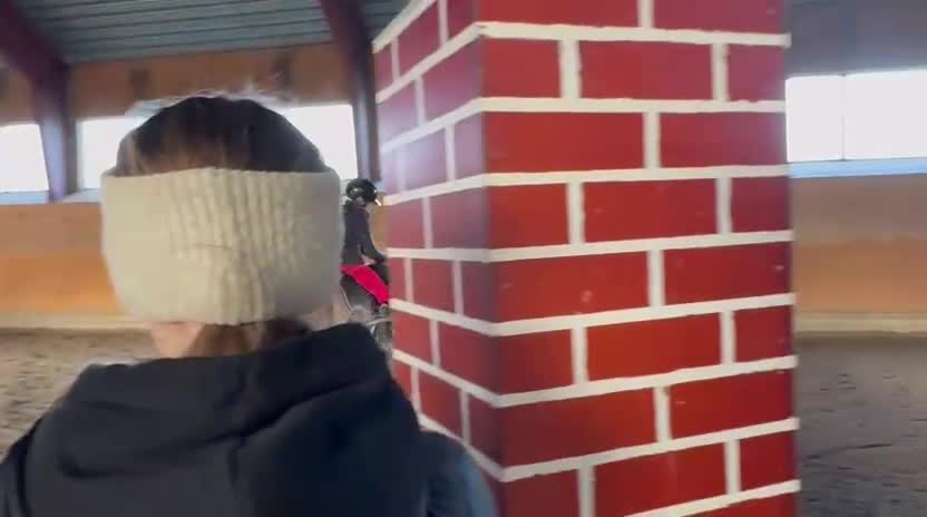 Hoppning hästar till salu: SM ponny i Vellinge - Video 2