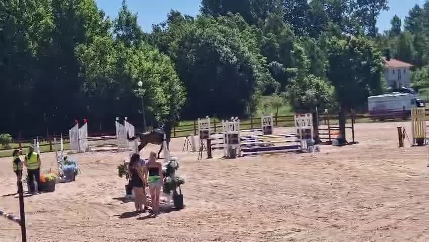 Hoppning hästar till salu: Käck liten häst för dig som gillar fart! - Video 1