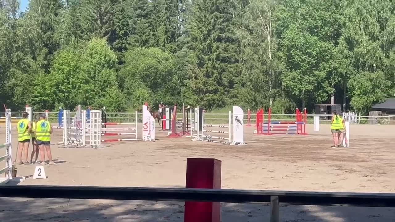 Allround hästar till salu: Lyxig allround-/tävlingshäst - Video 3