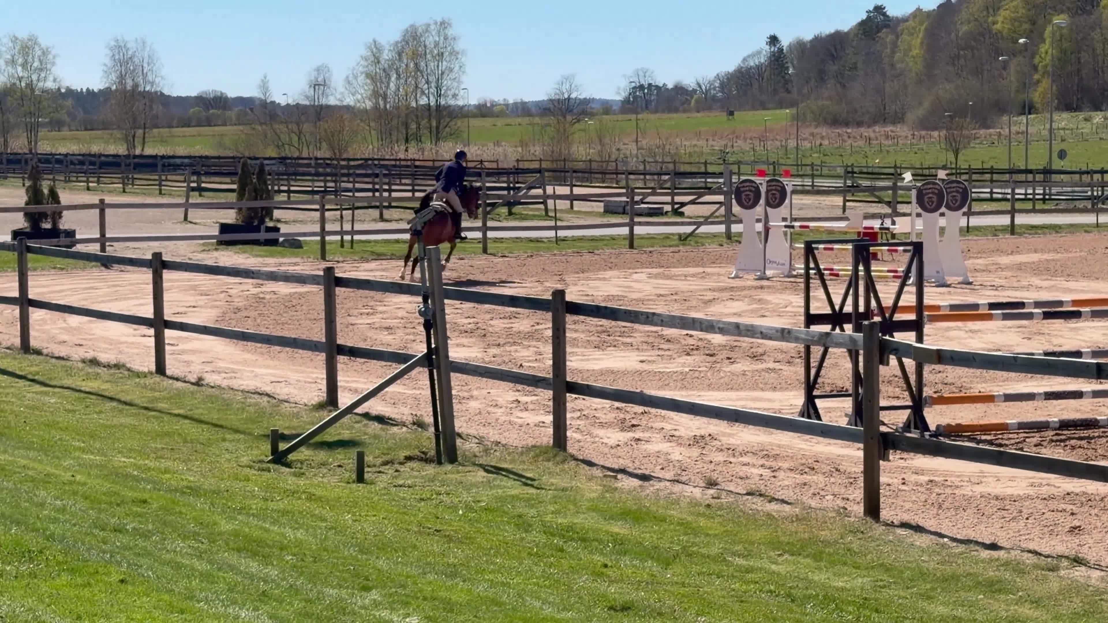 Hoppning hästar till salu: Välstammat sto - Video 2