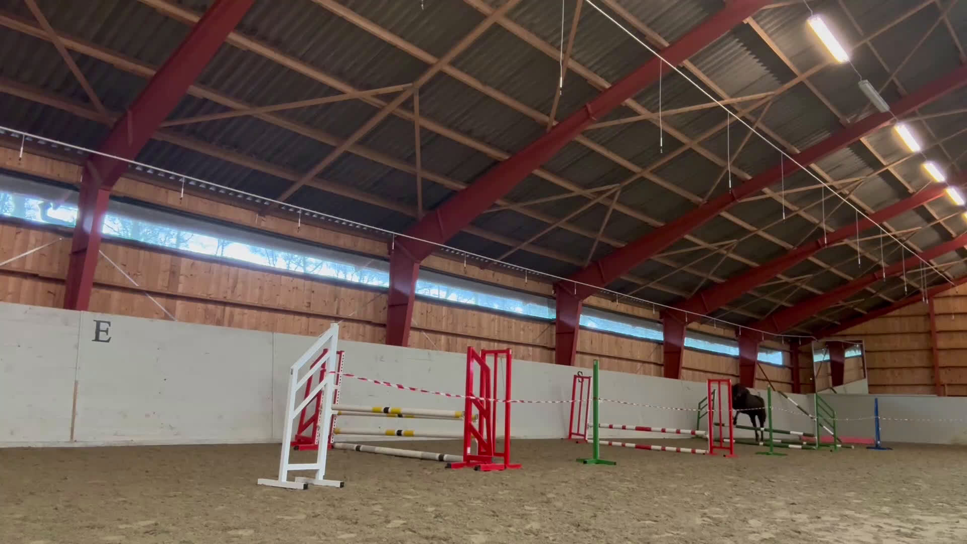 Hoppning hästar till salu: SWB valack - Video 1