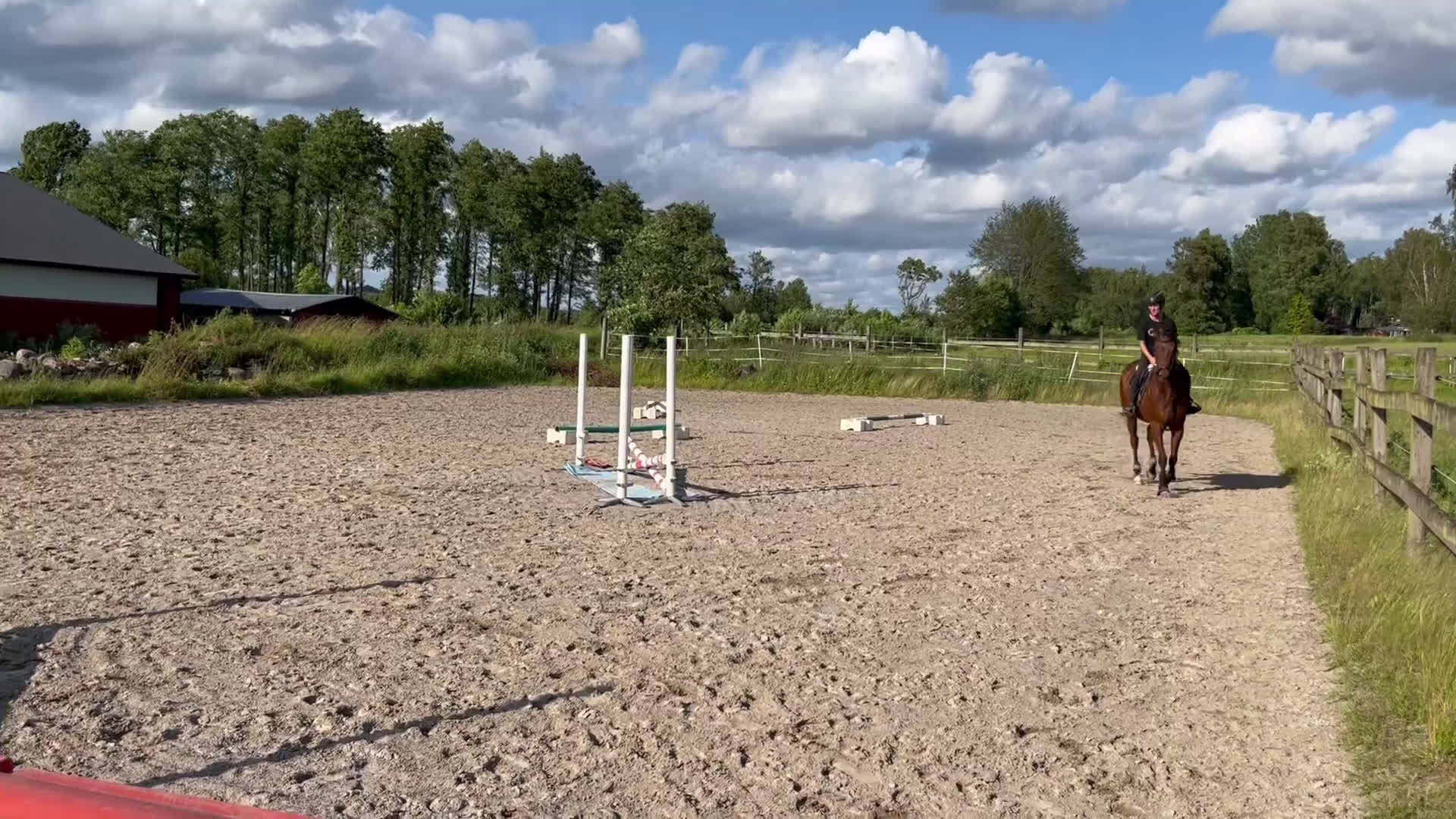 Fälttävlan hästar till salu: Underbar unghäst med ett toppen psyke! i Höör - Video 2