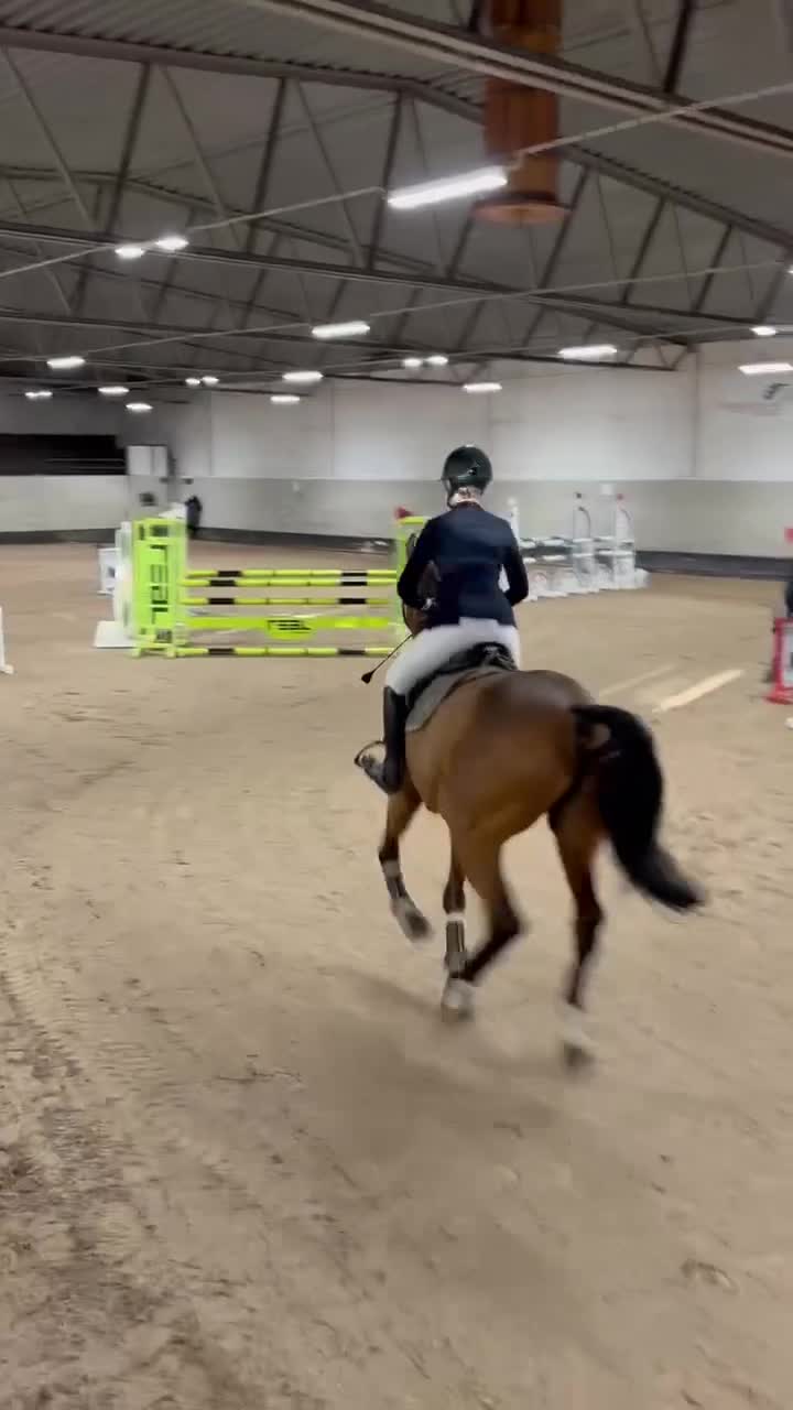 Hoppning hästar till salu: Supersnäll hopppkompis med fin stam! - Video 2