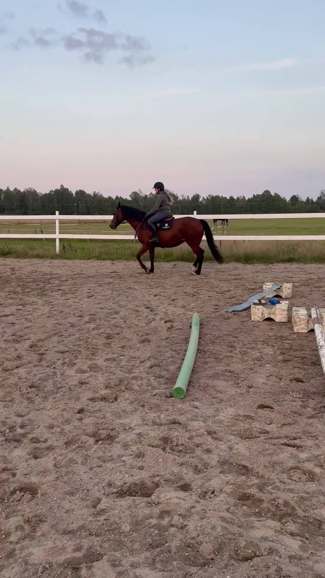 Allround hästar till salu: Ridhäst/avelssto top möderne i Mellerud - Video 1