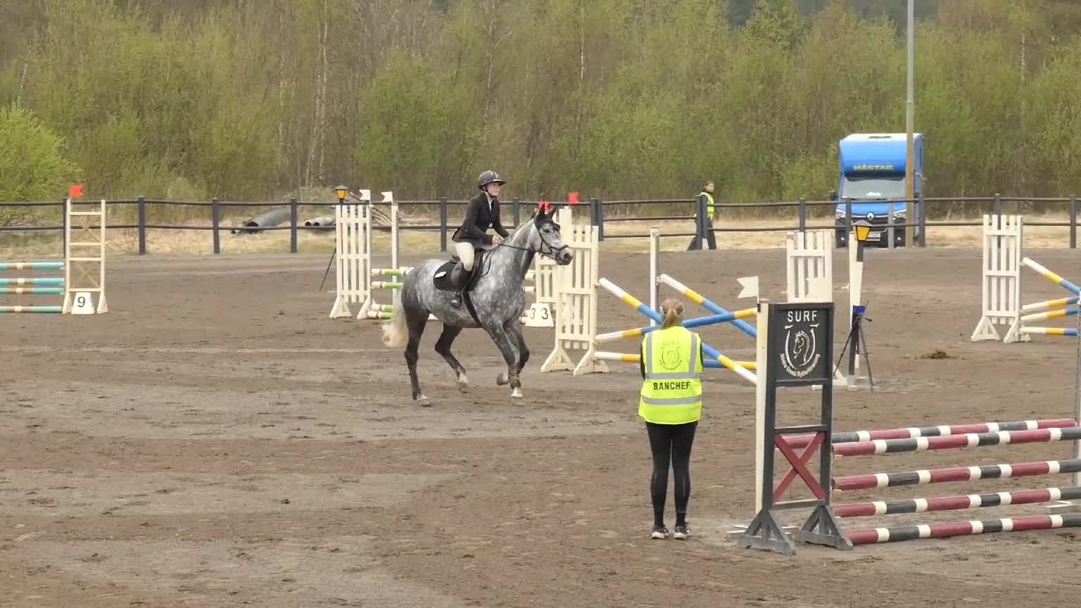 Allround hästar till salu: Diero Lux N-Cardento-Ircomarco, projekt  - Video 5