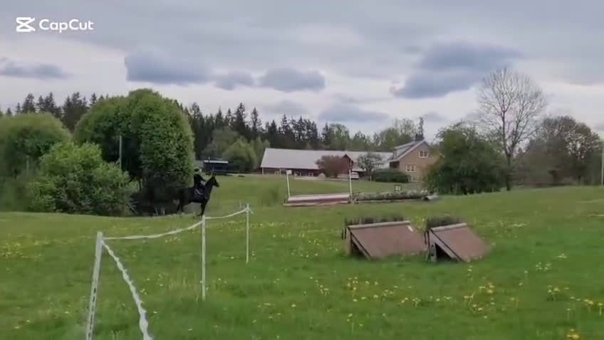 Allround hästar till salu: Vackert allroundsto i Örby - Video 2