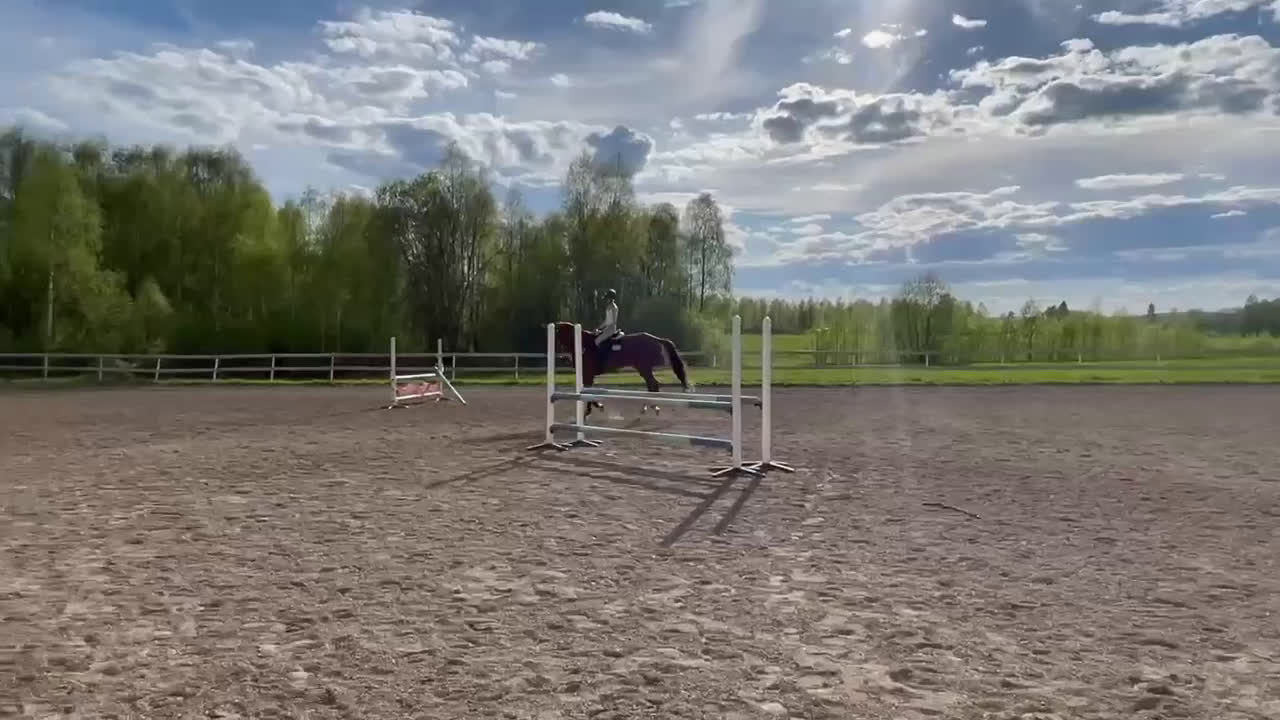 Hoppning hästar sökes: Söker foderhäst - Video 2