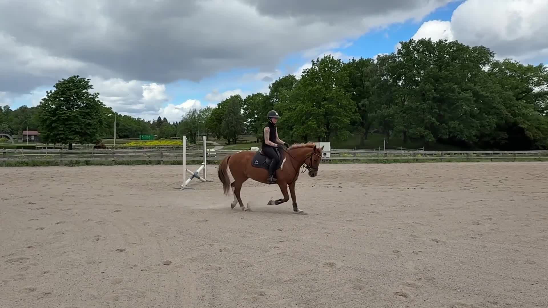 Allround hästar till salu: Söt trevlig ponny  - Video 3