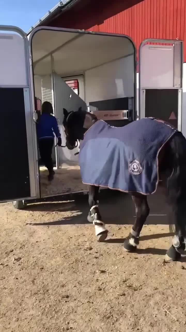Hästtransporter  fordon & transport till salu: Fautras Provan- öppna/stäng bakbommen framifrån - Video 1
