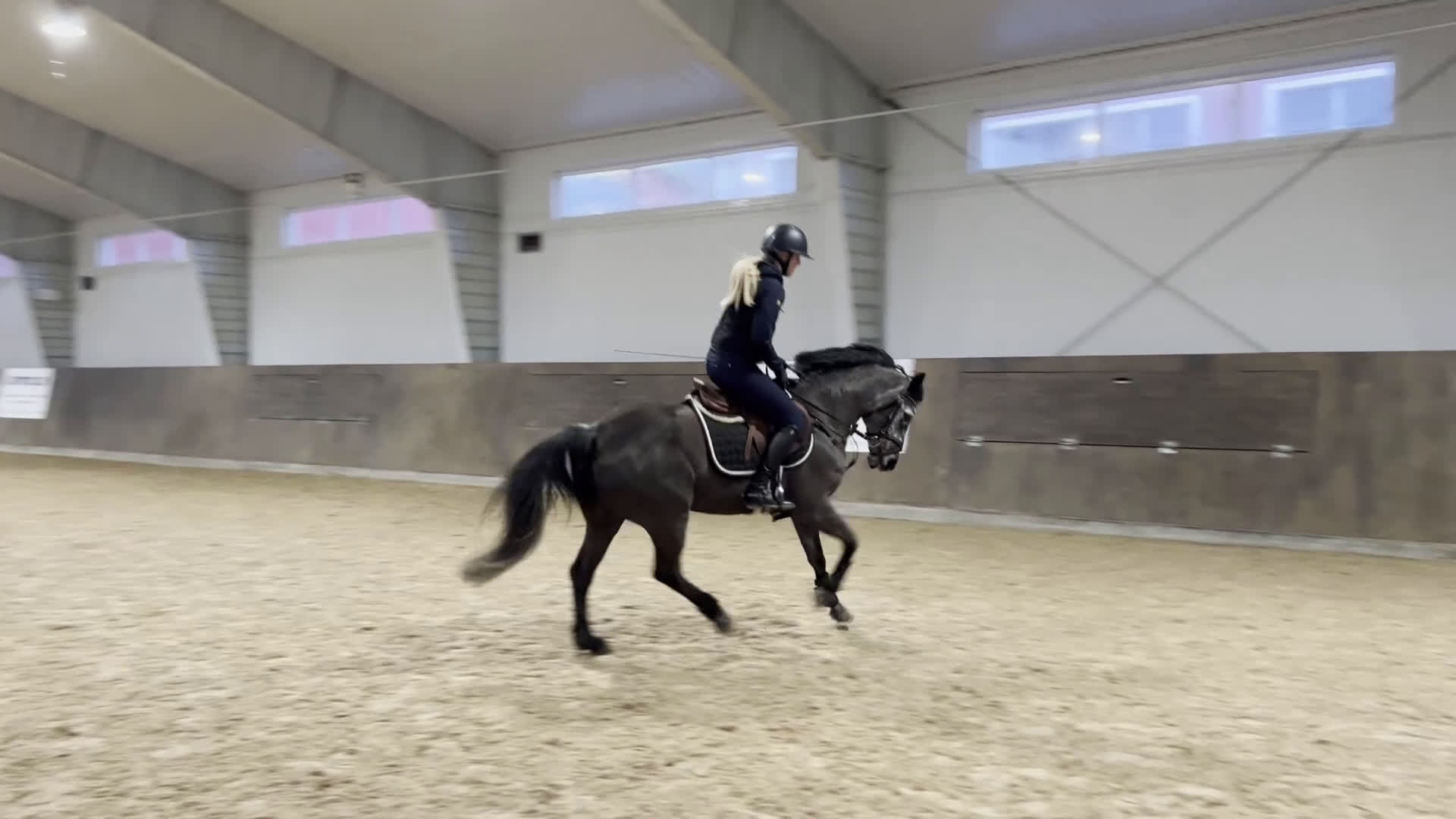 Hoppning hästar till salu: C-ponny med stort hopp och hög ridbarhet i Kungsbacka - Video 4