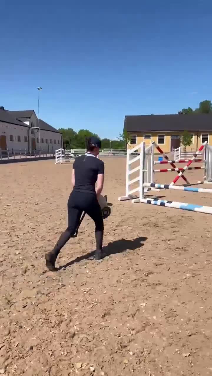 Utställning hästar till salu: Framtidsämne i Strömsholm - Video 1