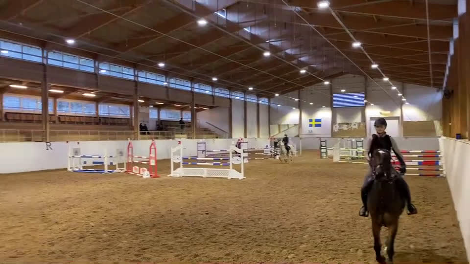 Allround hästar till salu: Cool Läromästare i Lidingö - Video 2