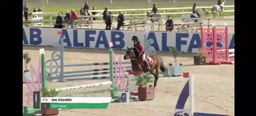 Hoppning hästar till salu: B-ponny  - Video 1