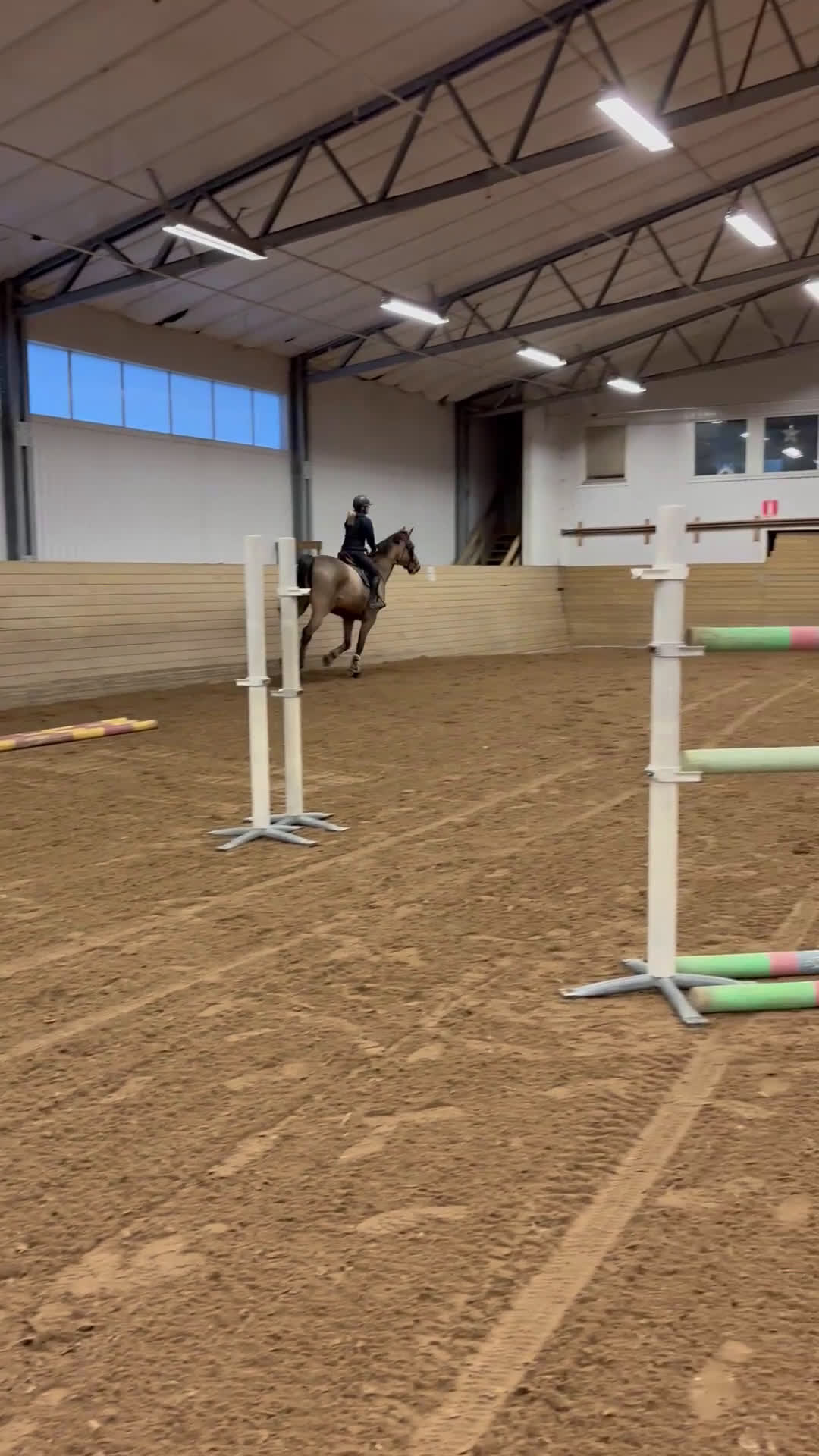 Hoppning hästar till salu: Ett kraftpaket med stor potential - Video 1