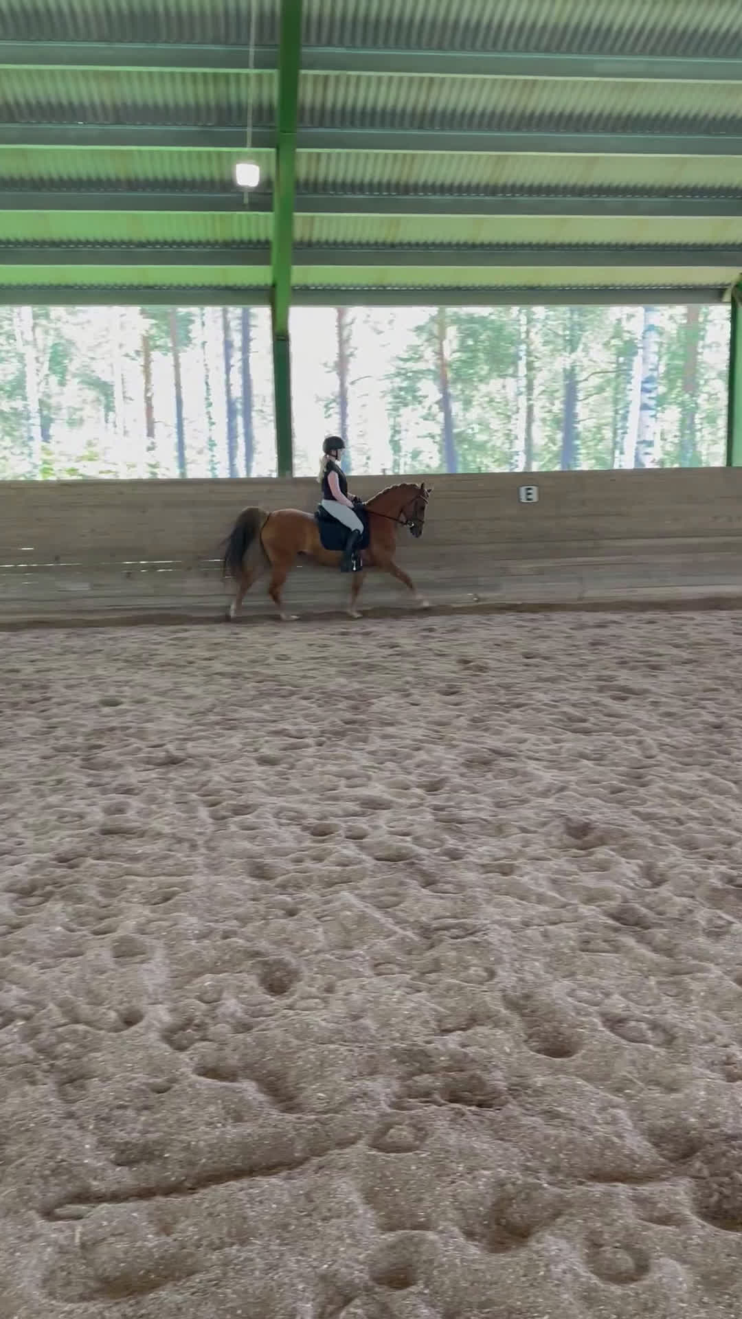 Dressyr hästar till salu: FEI ponny för framtiden! 67,5% i FEI 💥 i Ervalla - Video 3