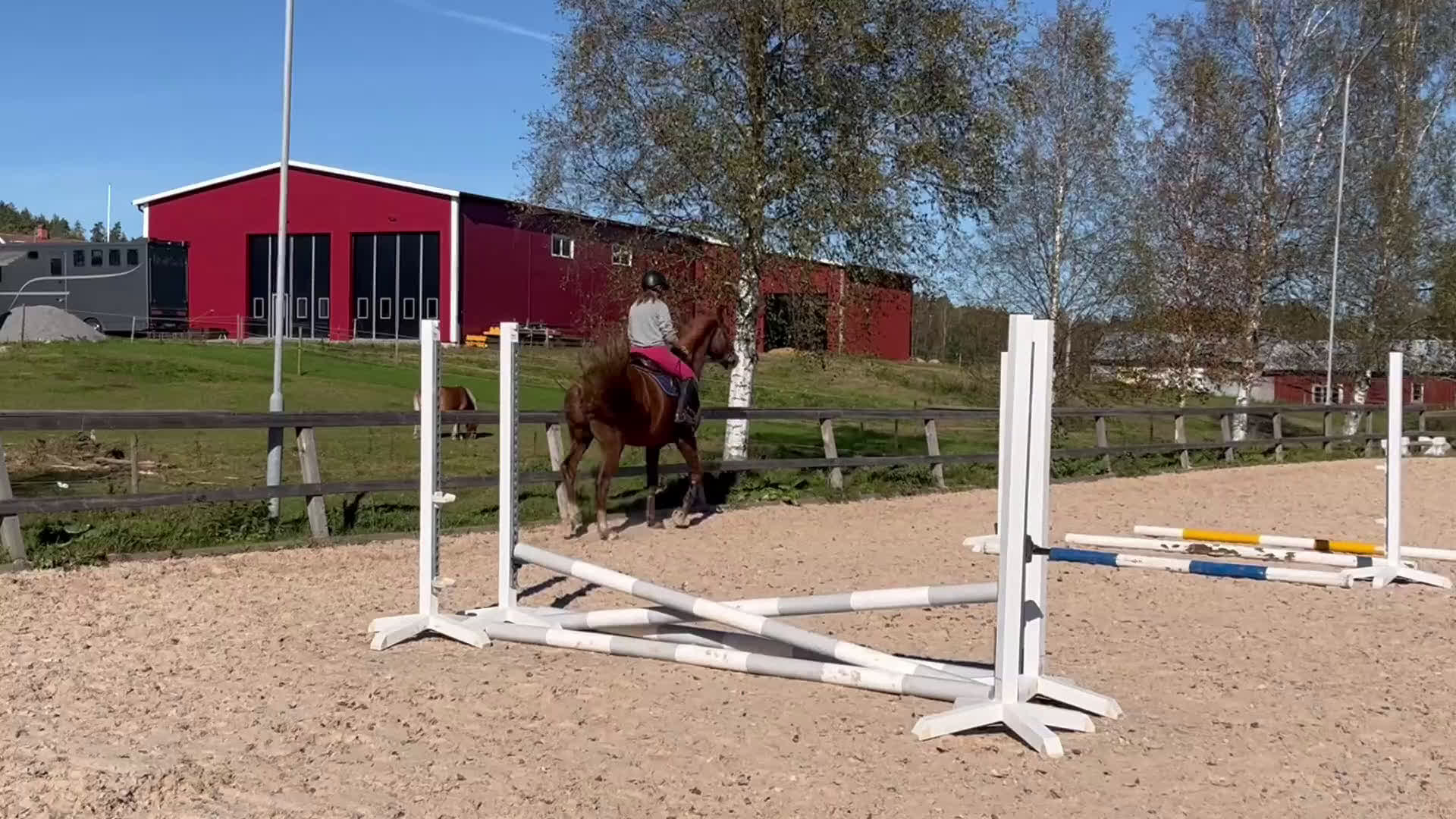 Dressyr hästar till salu: 5-årig dressyr valack i Kolmården - Video 2