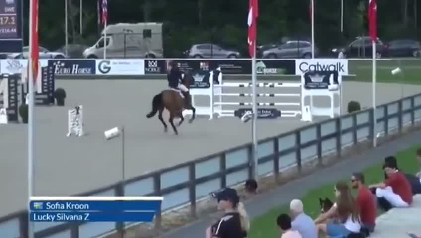 Avelshästar hästar till salu: 5*160 avelssto! - Video 2