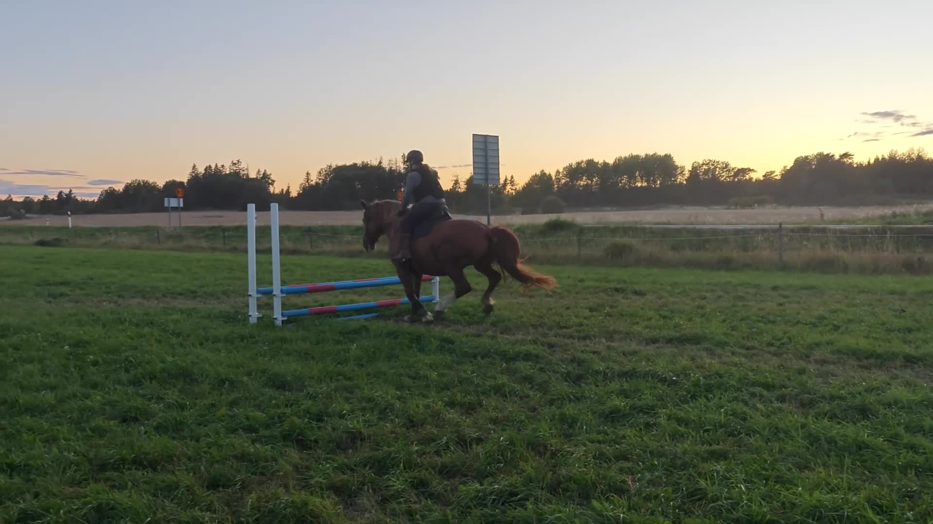 Allround hästar till salu: Stor viktbärande fux sto - Video 2
