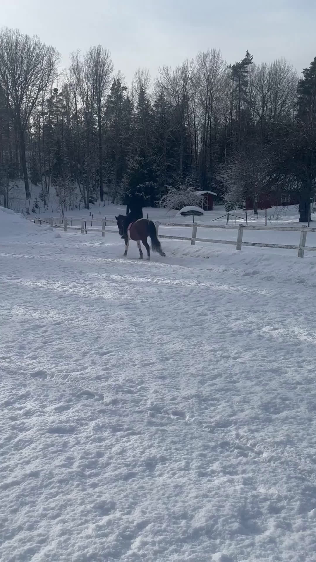 Allround hästar sökes: Söker medryttarhäst!🐴 i Gustavsberg - Video 3