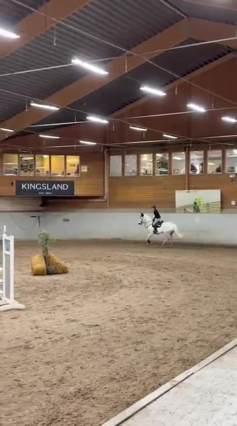 Allround hästar till salu: Charmigt sto med arbetsvilja  - Video 2