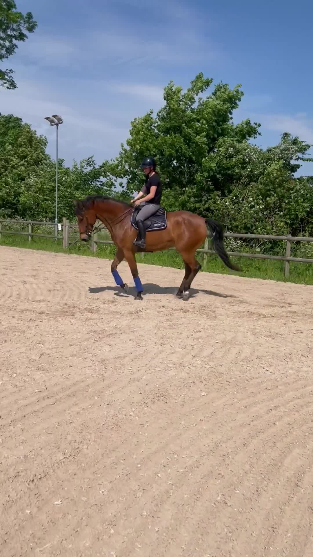 Allround hästar till salu: Trevlig hobbyhäst med mycket fart! i Södra Sandby - Video 1