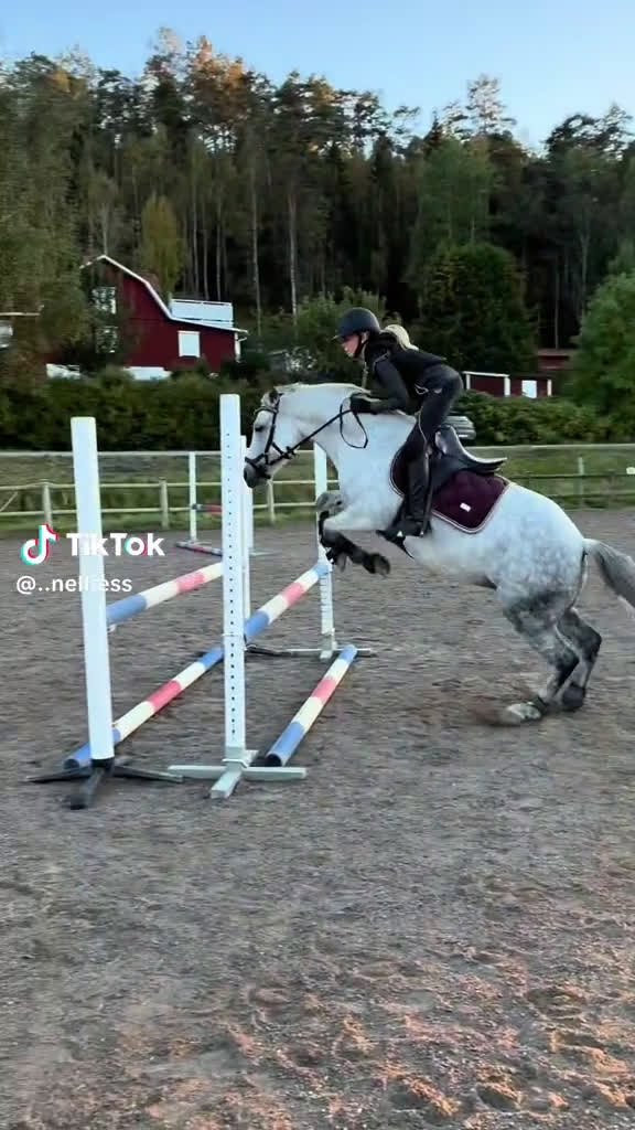 Hoppning hästar till salu: Fantastisk C-ponny säljes. i Grödinge - Video 4