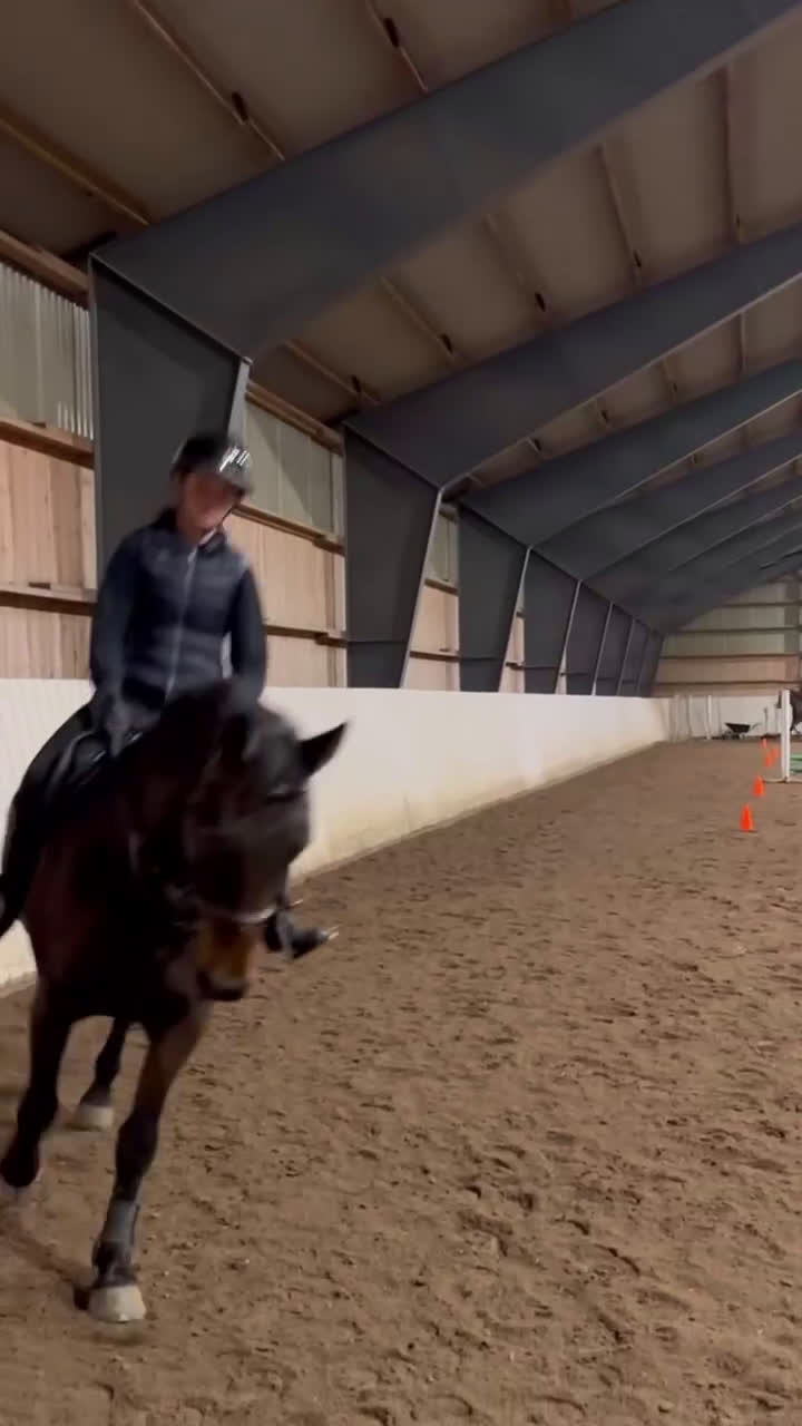  hästservice finnes: Julklappstips! Ridläger sommaren 2026 i Lidköping - Video 1