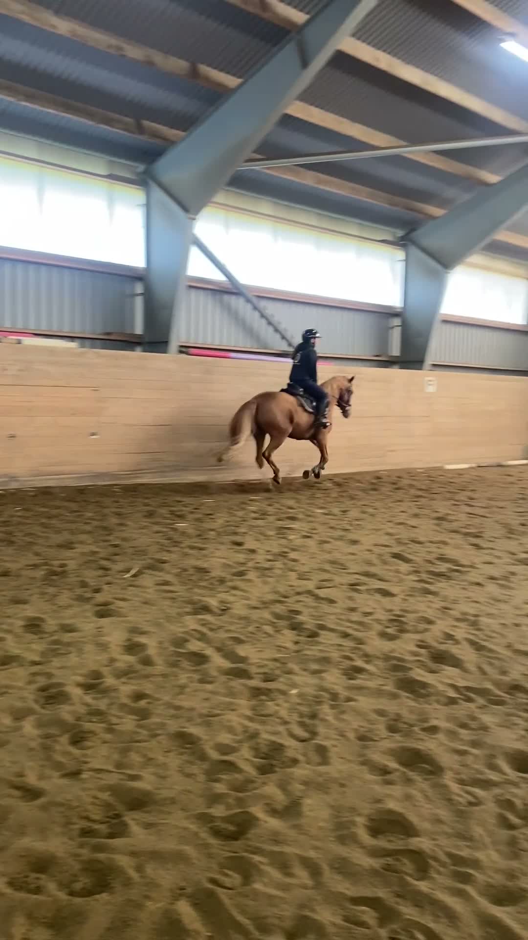 Hoppning hästar till salu: Fantastisk C ponny för både hopp och dressyr! i Kållered - Video 2