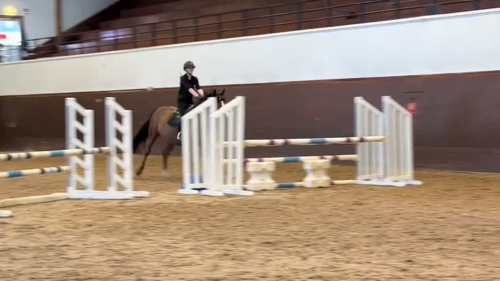 Hoppning hästar till salu: Sto med potential  - Video 2