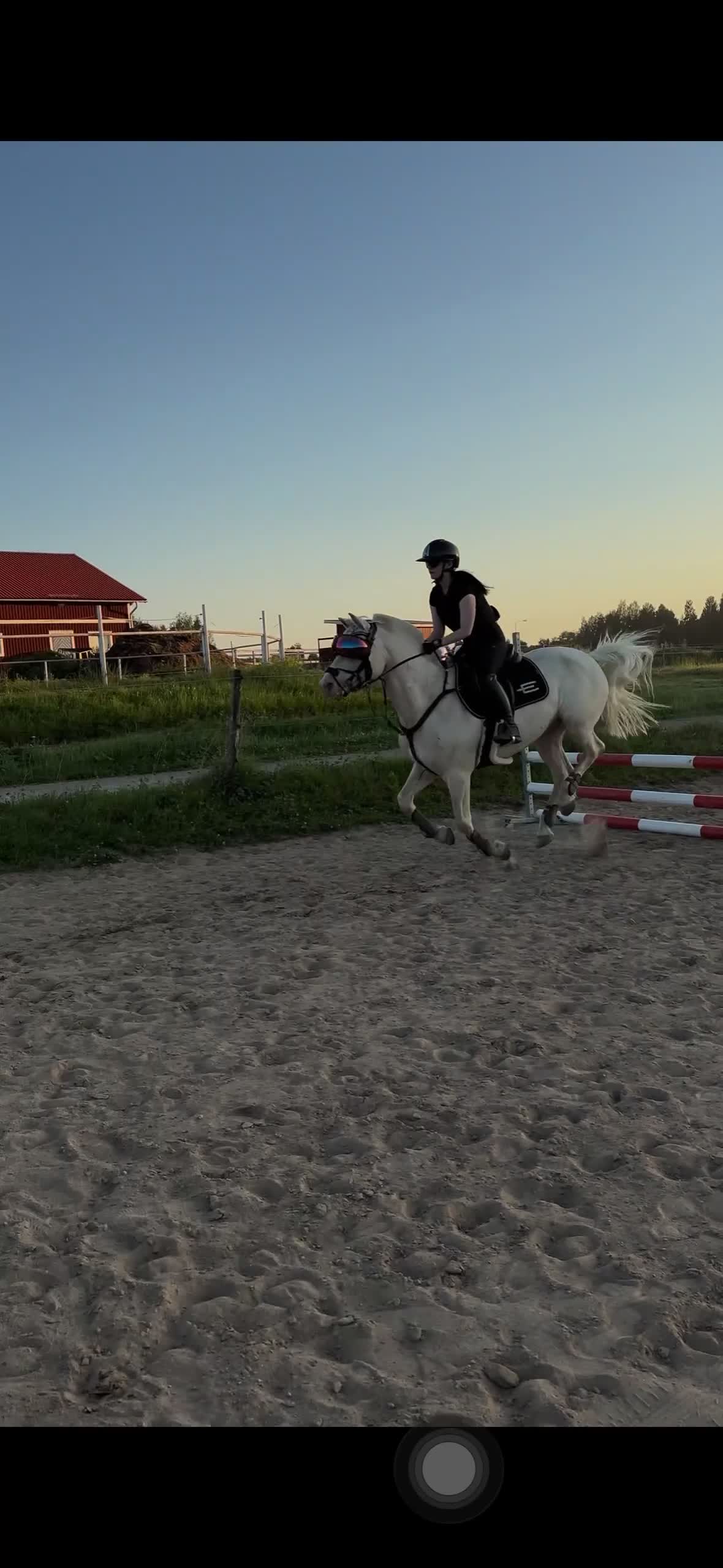 Allround hästar till salu: Fantastisk D-ponny i Sundsvall - Video 1