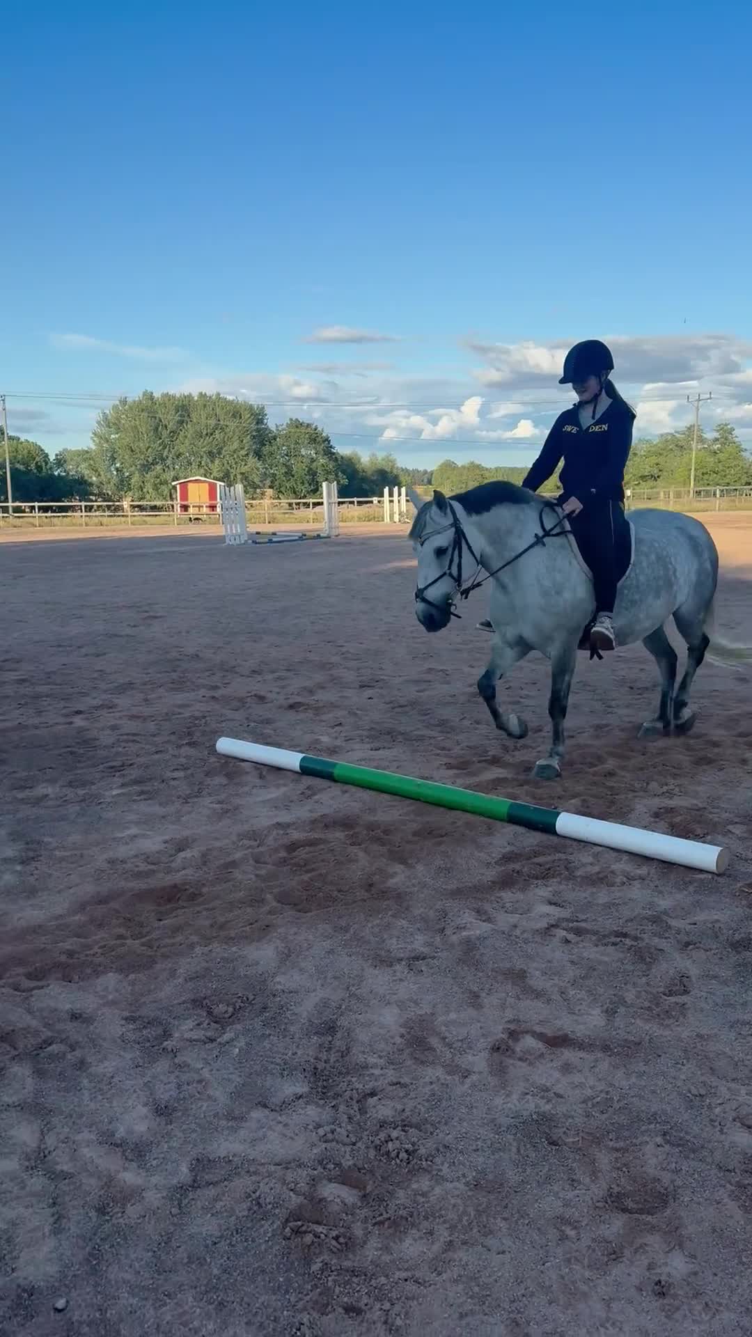 Allround hästar till salu: C-ponny, allround ponny, sällskap. - Video 2