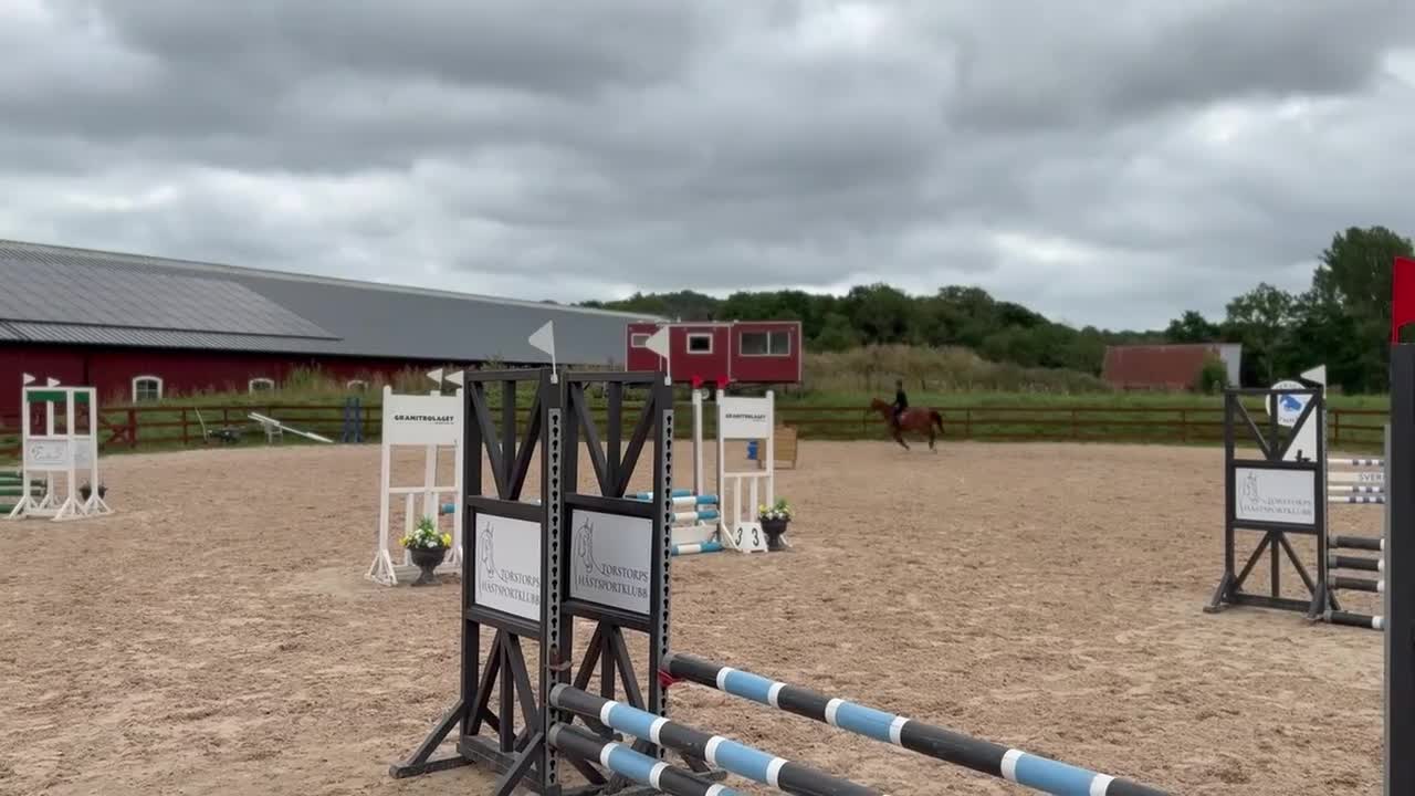 Hoppning hästar till salu: Trevlig tävlingsponny - Video 4