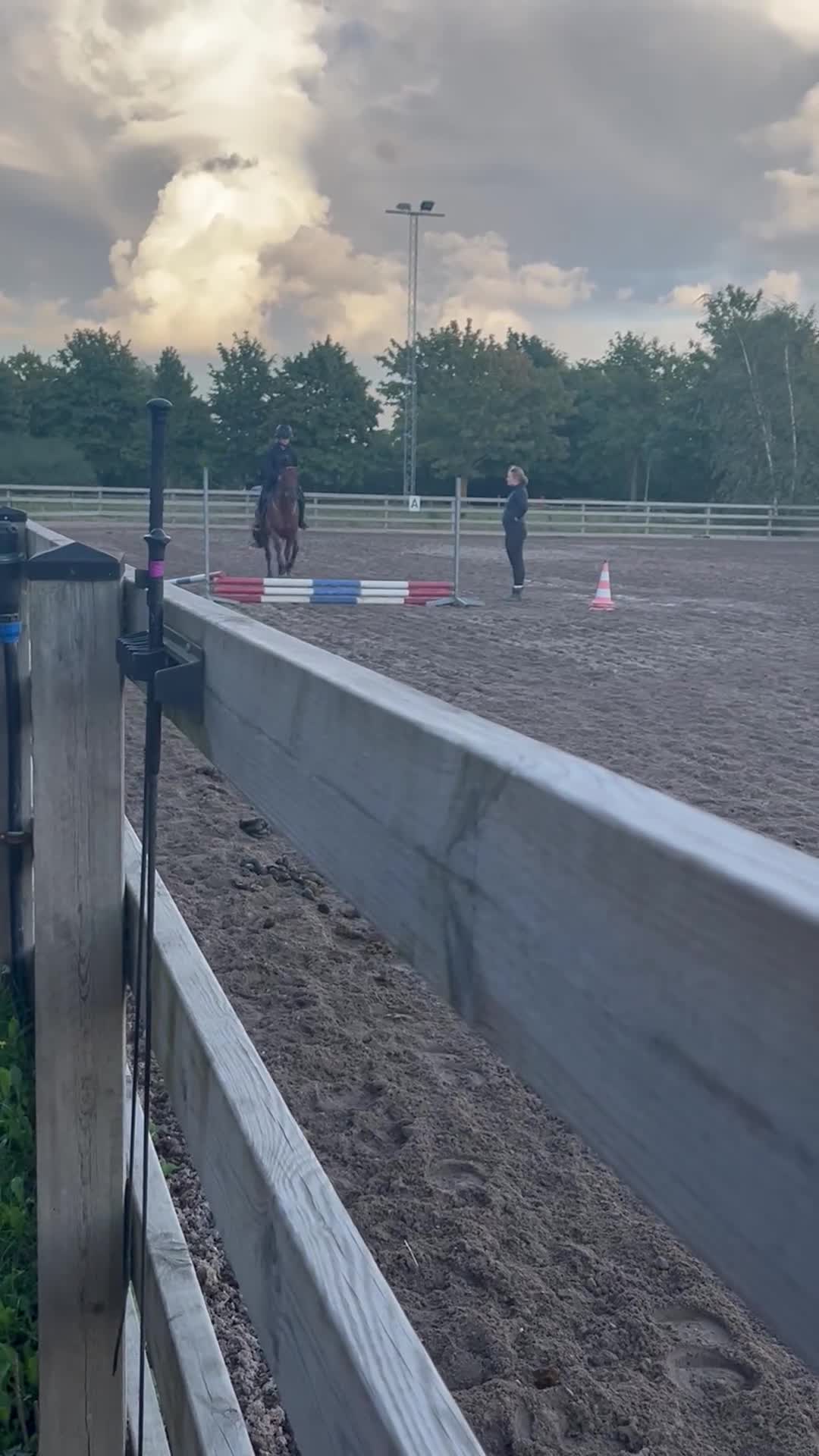  medryttarhäst sökes: Medryttar häst nära Revinge sökes i Löberöd - Video 3