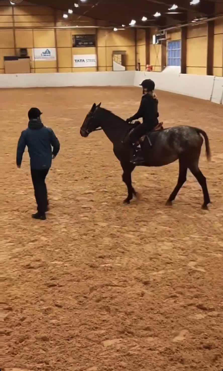  medryttarhäst sökes: 16-åring söker medryttarhäst att utvecklas med. i Västerås - Video 1