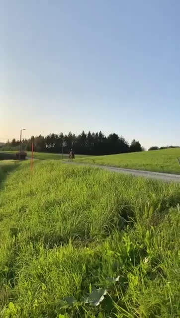 Island hästar till salu: Gjafar från Hästfjället, ståtlig och äventyrssugen - Video 2