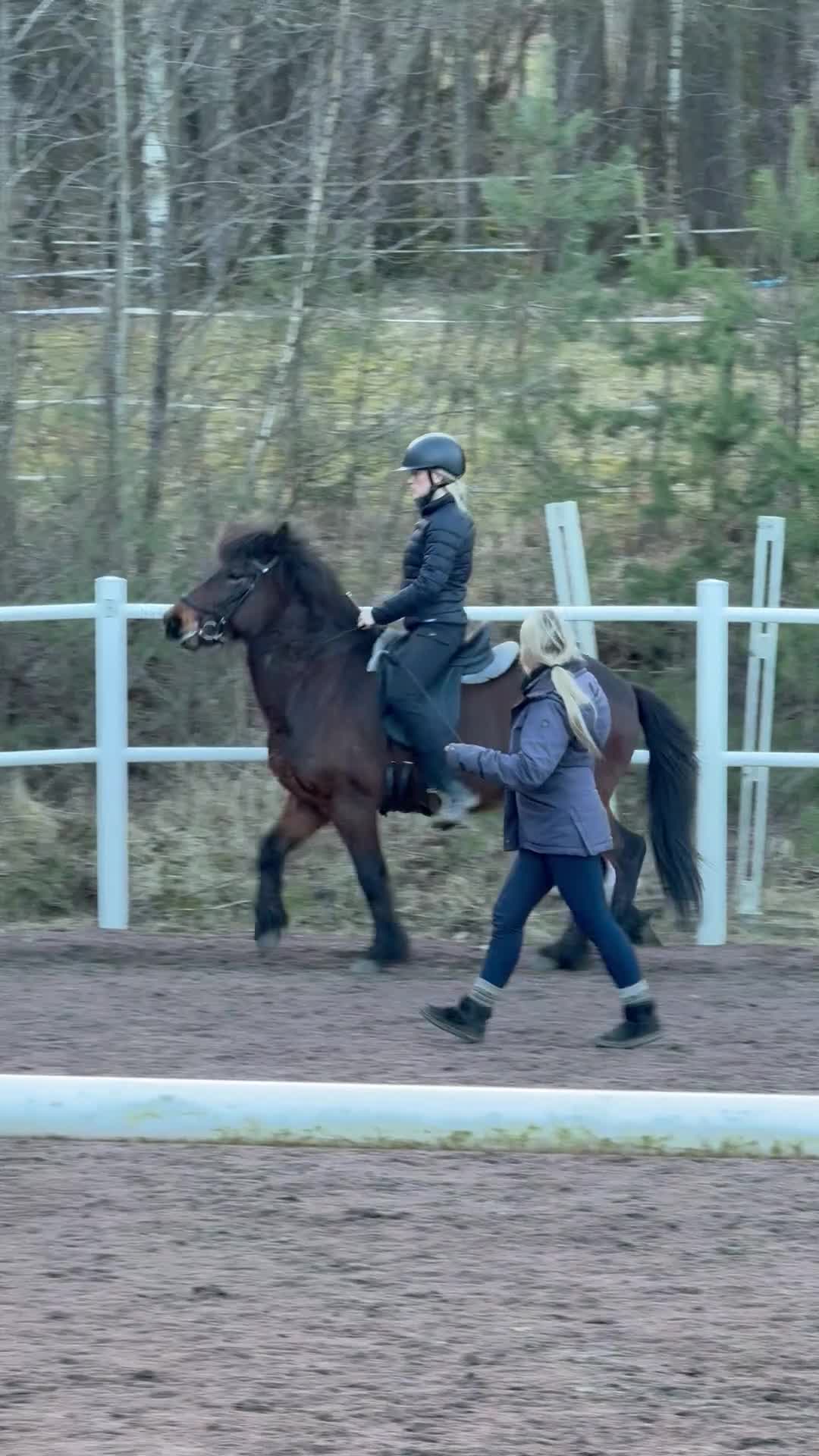 Island hästar till salu: Underbar arbetsvillig islandshäst söker aktivt hem - Video 3