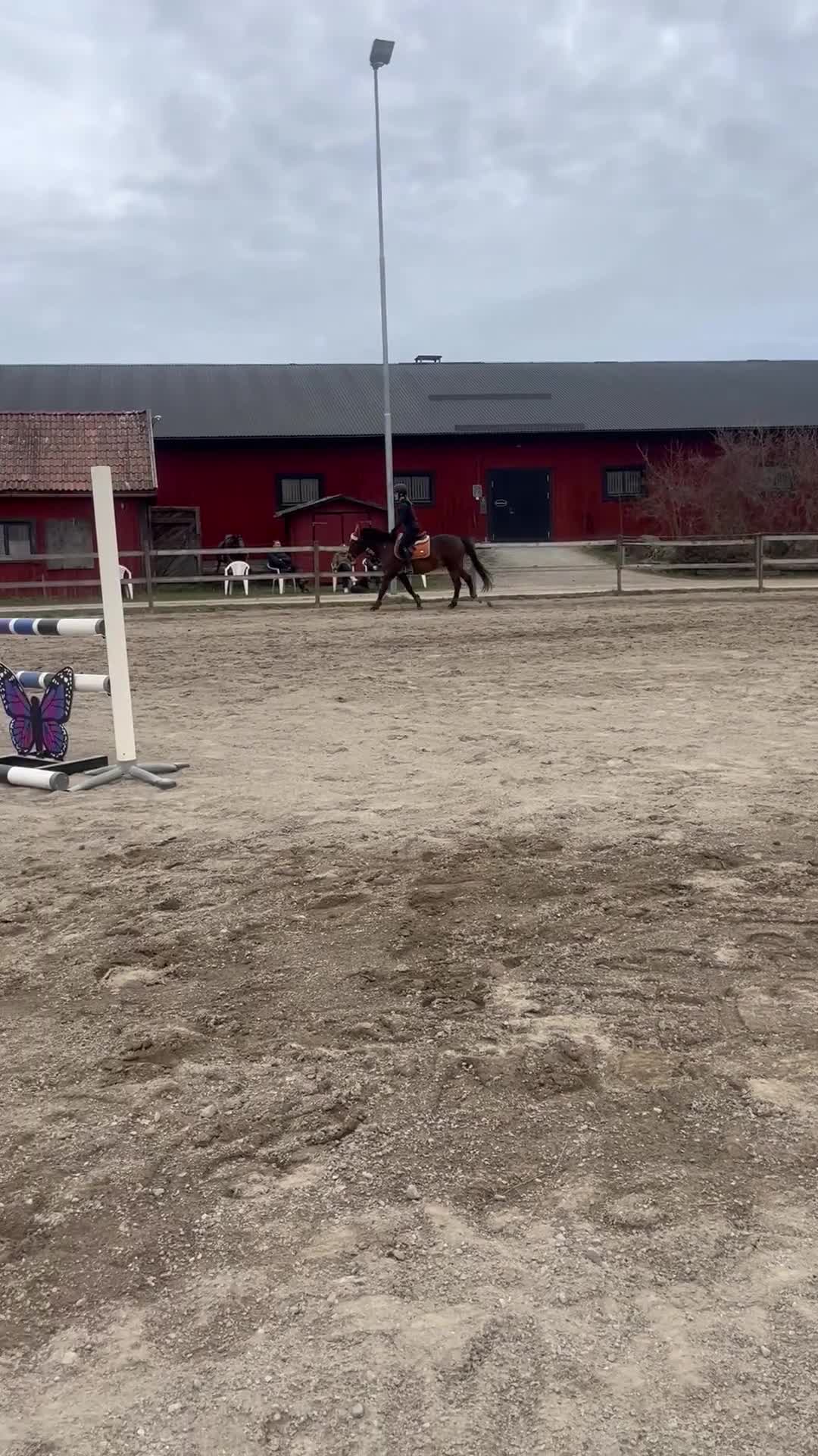 Allround hästar sökes: Söker medryttarhäst 🩷 i Mariefred - Video 3