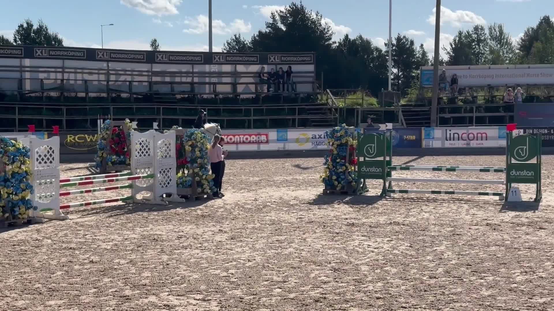 Hoppning hästar till salu: Ponny med kapacitet och hjärta - Video 4