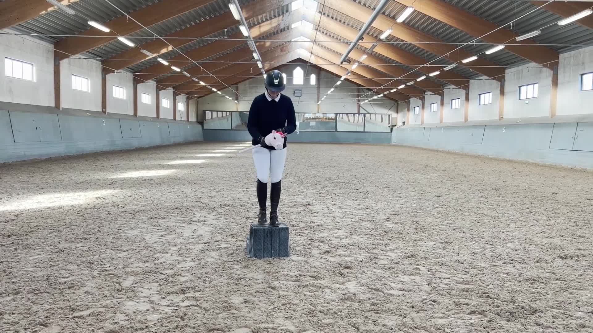 Allround hästar till salu: Ett sto med det lilla extra!  i Kolbäck - Video 1