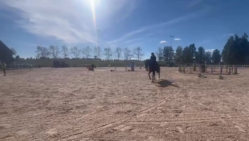 Allround hästar till salu: Multitalang Dressyr, WE & hoppning -med toppstam i Storvreta - Video 1