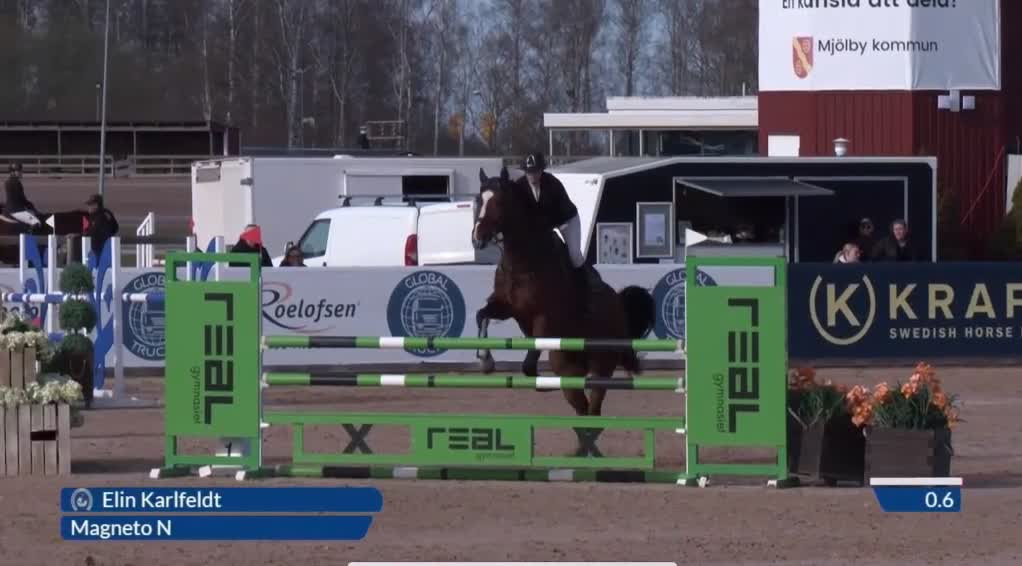 Hoppning hästar till salu: Rolig tävlingskompis  - Video 1