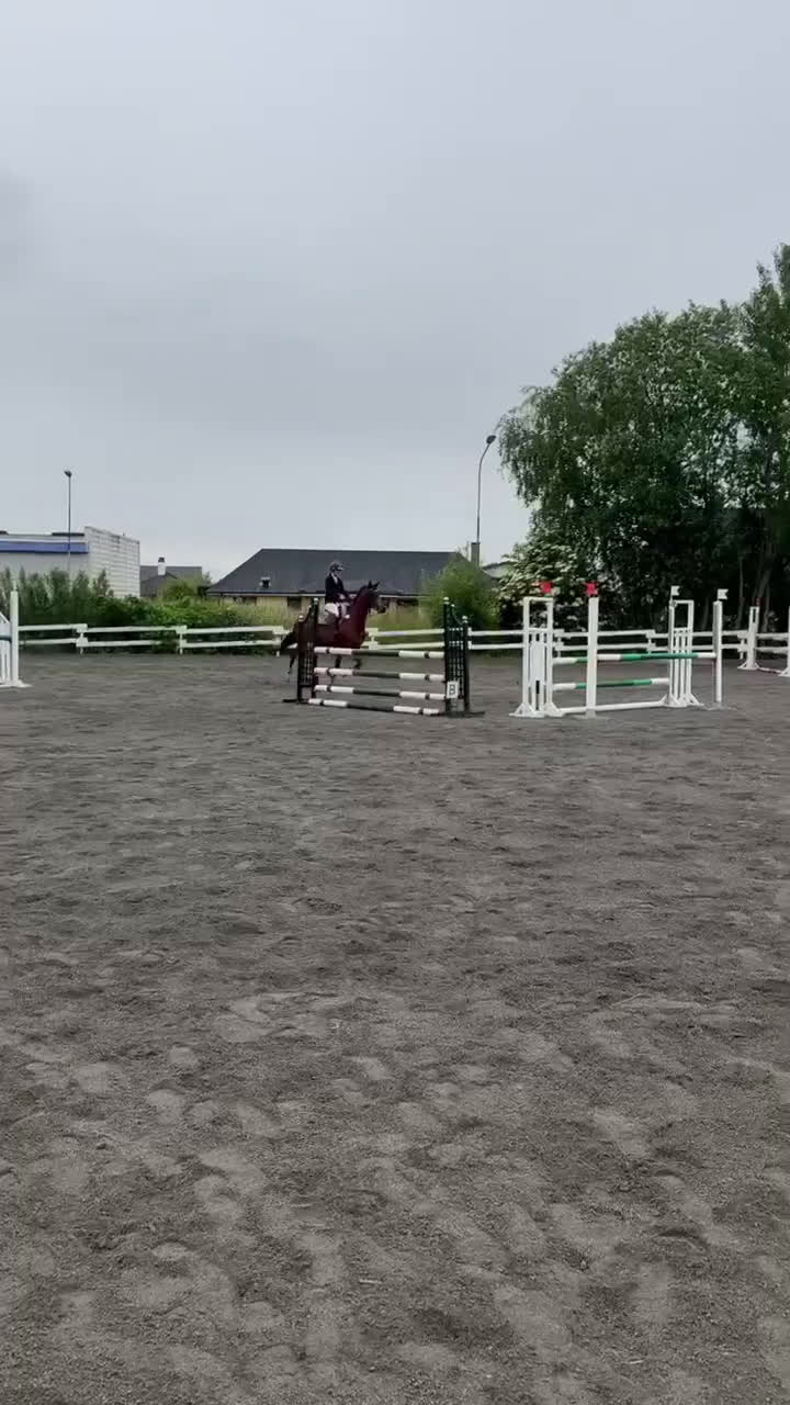 Hoppning hästar till salu: Hoppsto med stor kapacitet i Helsingborg - Video 2