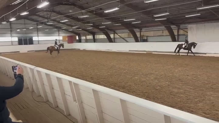 Dressyr hästar till salu: Supertrevlig 4åring med fin ridbarhet i Bankeryd - Video 2