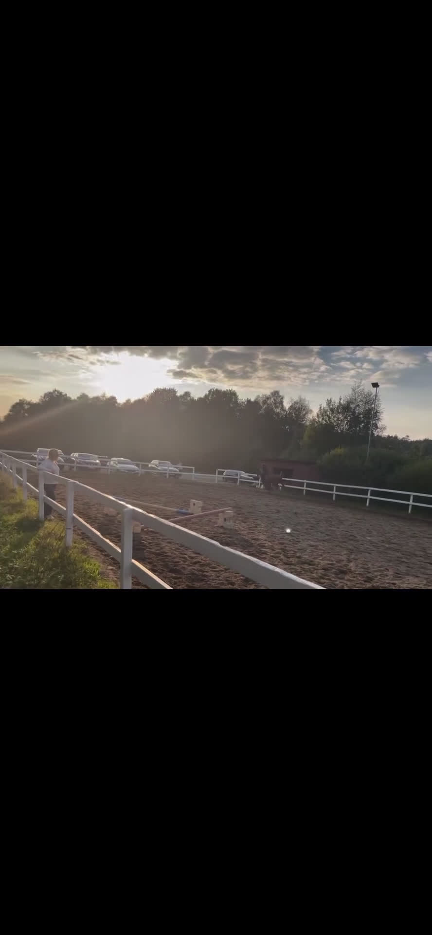 Allround hästar sökes: Söker medryttarhäst⭐️ i Öjersjö - Video 5